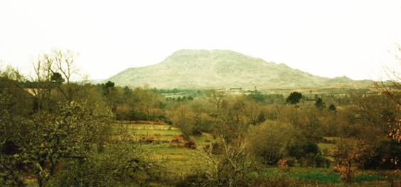 Cabe&ccedil;o das Fr&aacute;guas